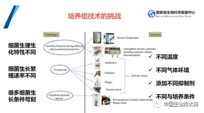 培養組通幽微世界，助力微生物資源大作為——記國家微生物科學數據中心網絡精品課網絡技術開發